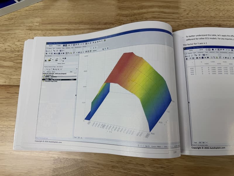 Master WinOLS Vol.2: ECU Tuning for Diesel Engine