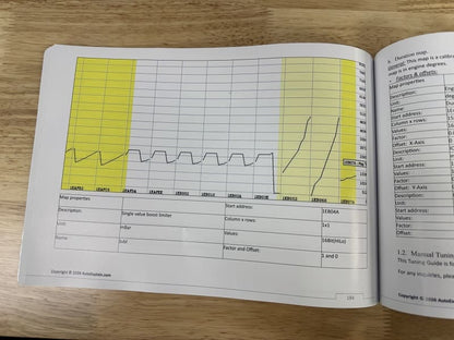 Master WinOLS Vol.2: ECU Tuning for Diesel Engine